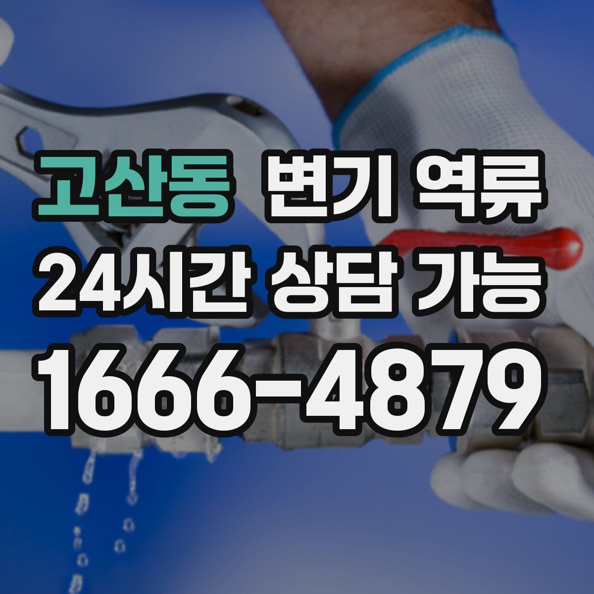 고산동 변기 역류