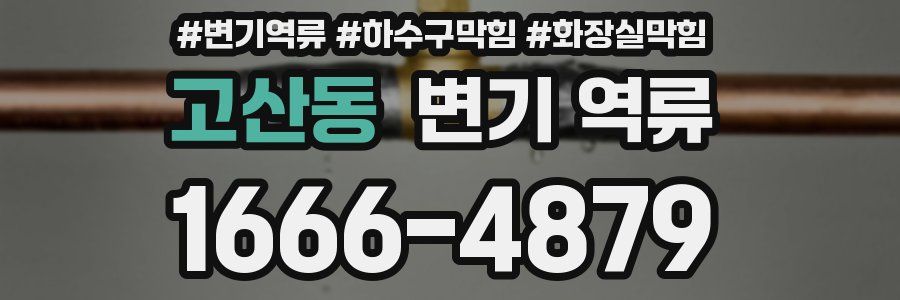 고산동 변기 역류