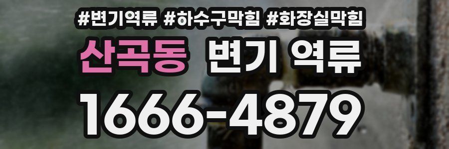 산곡동 변기 역류