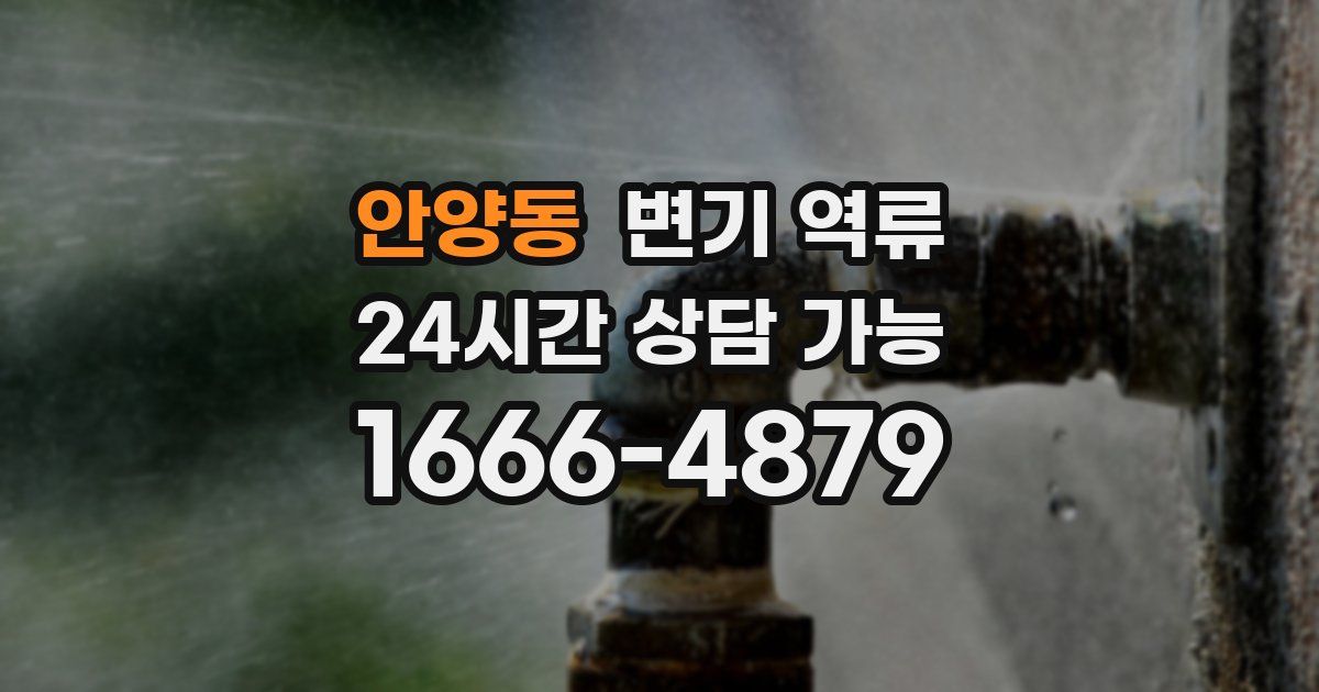 안양동 변기 역류