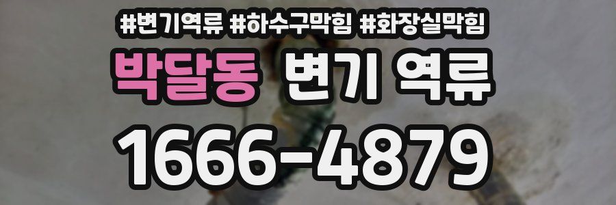 박달동 변기 역류