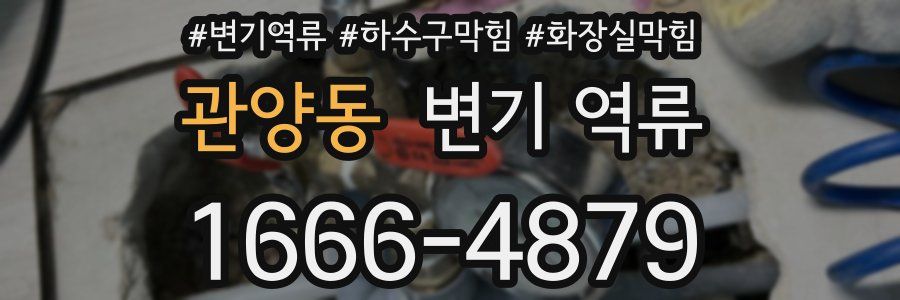 관양동 변기 역류