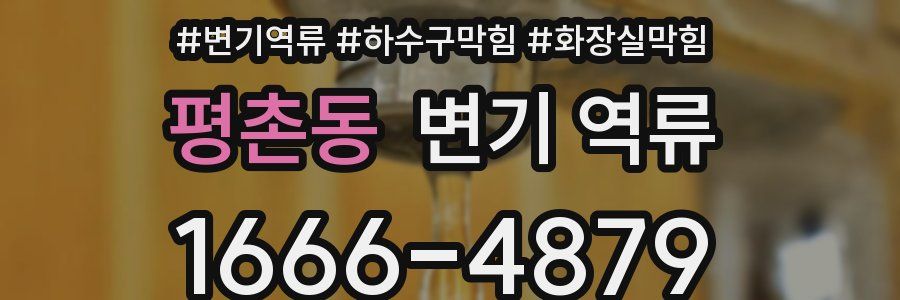 평촌동 변기 역류