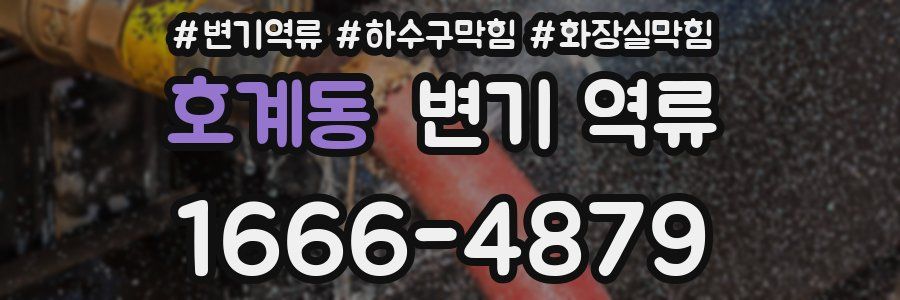 호계동 변기 역류