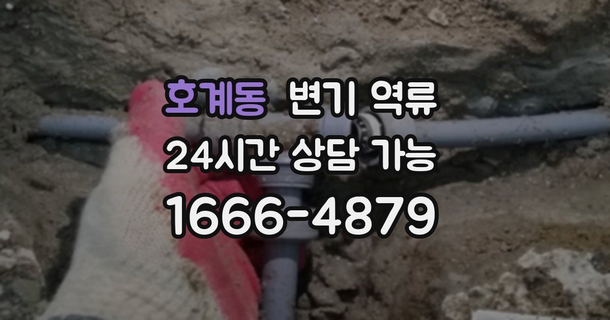 호계동 변기 역류