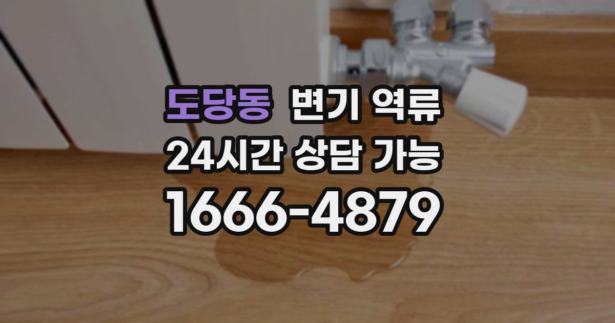 도당동 변기 역류