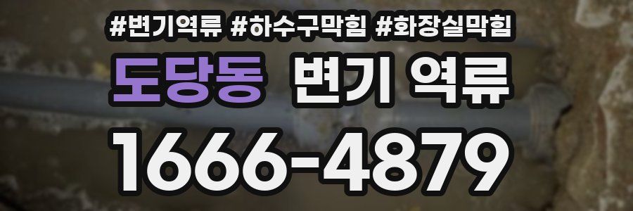 도당동 변기 역류