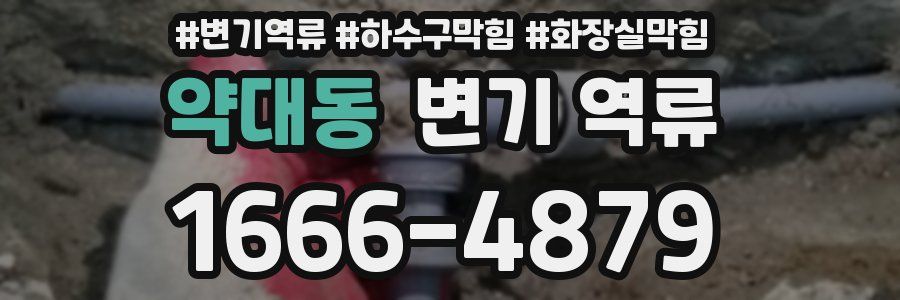 약대동 변기 역류