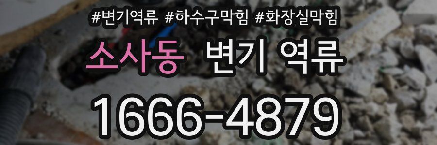 소사동 변기 역류
