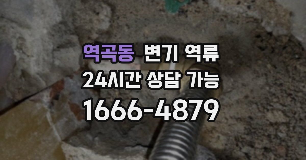 역곡동 변기 역류