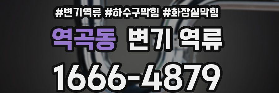 역곡동 변기 역류