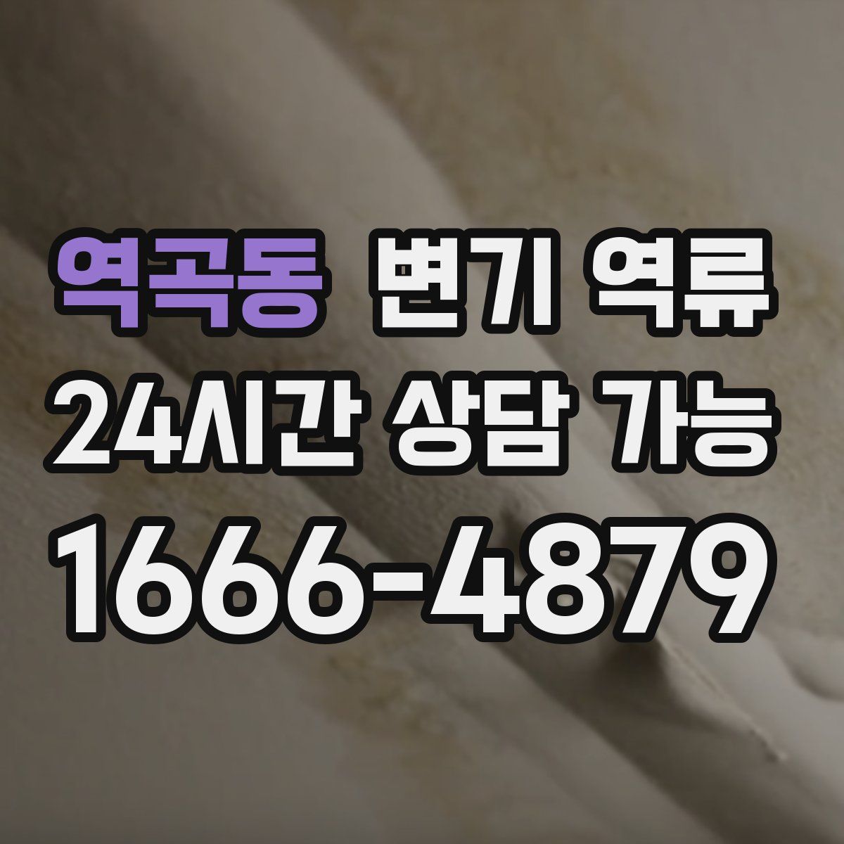 역곡동 변기 역류