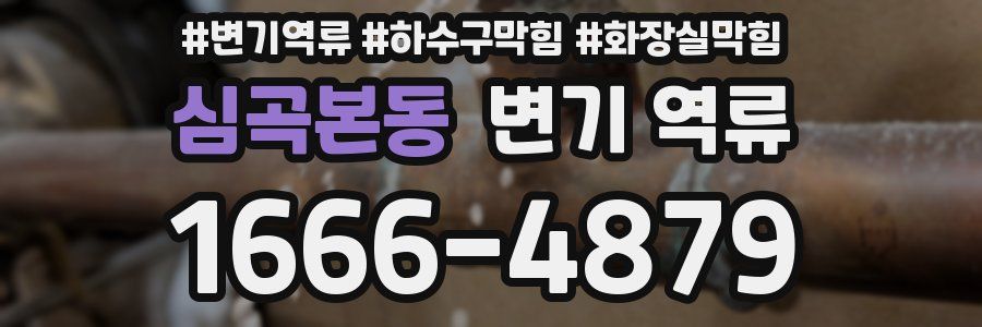 심곡본동 변기 역류