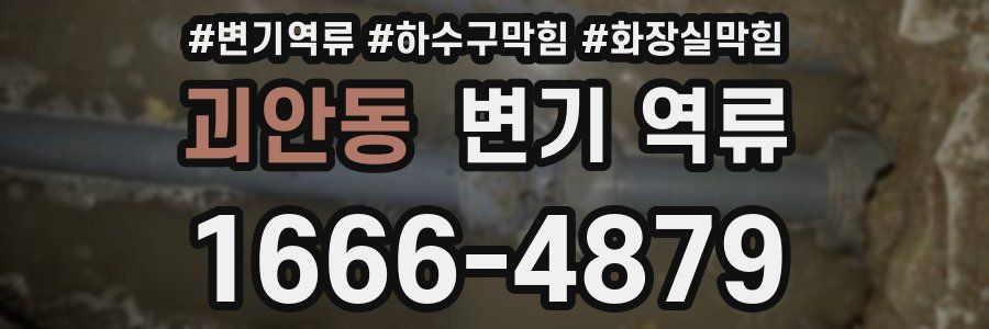 괴안동 변기 역류