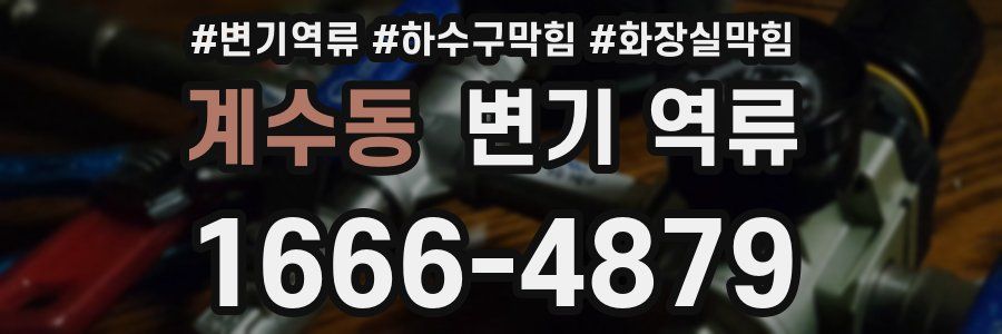 계수동 변기 역류