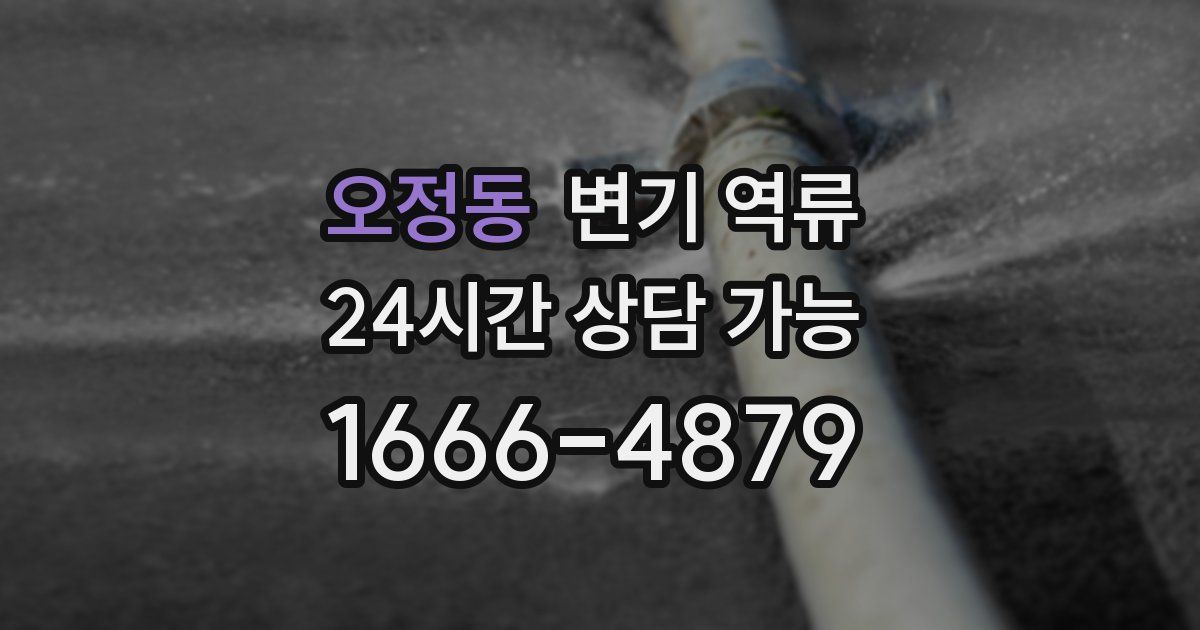 오정동 변기 역류