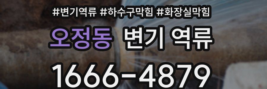 오정동 변기 역류