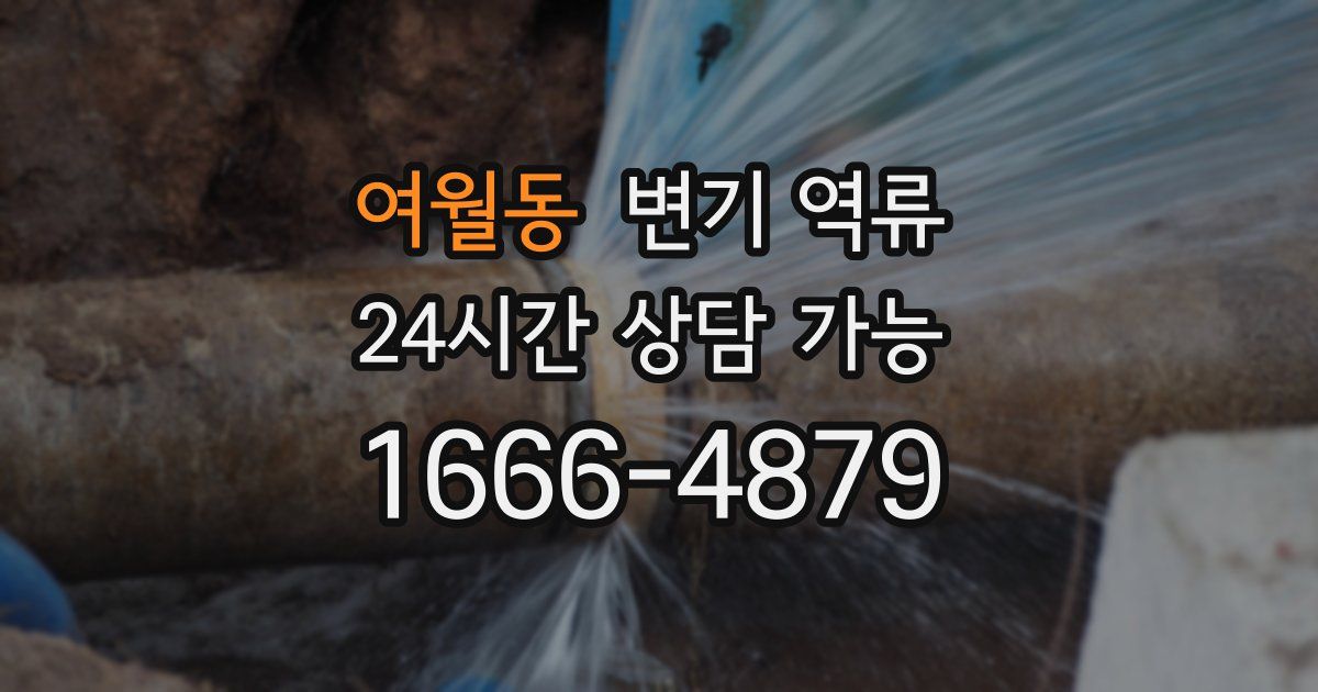 여월동 변기 역류