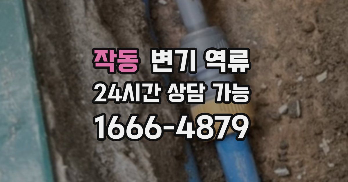 작동 변기 역류