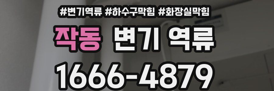 작동 변기 역류