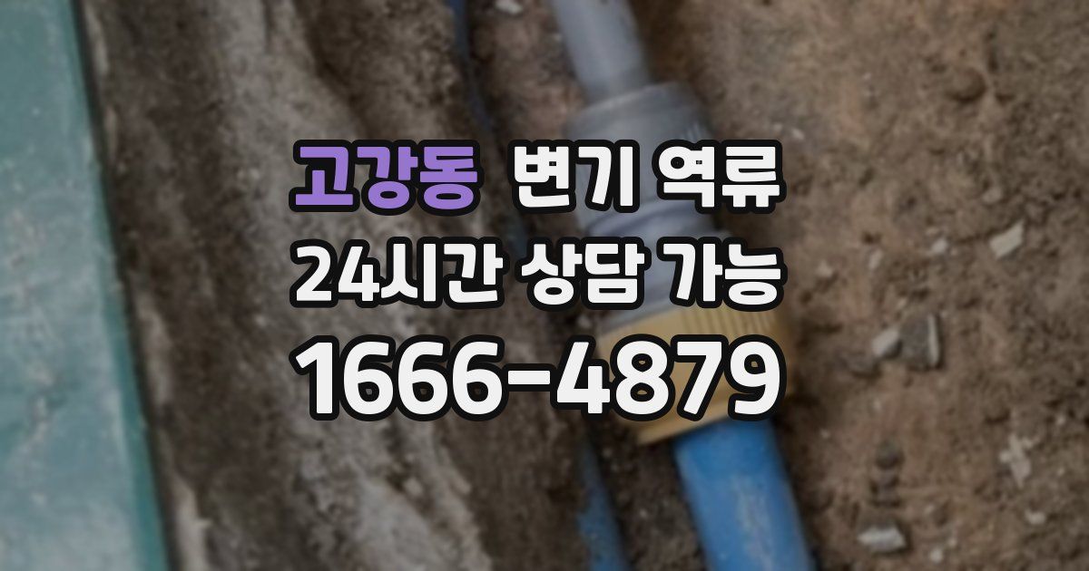 고강동 변기 역류