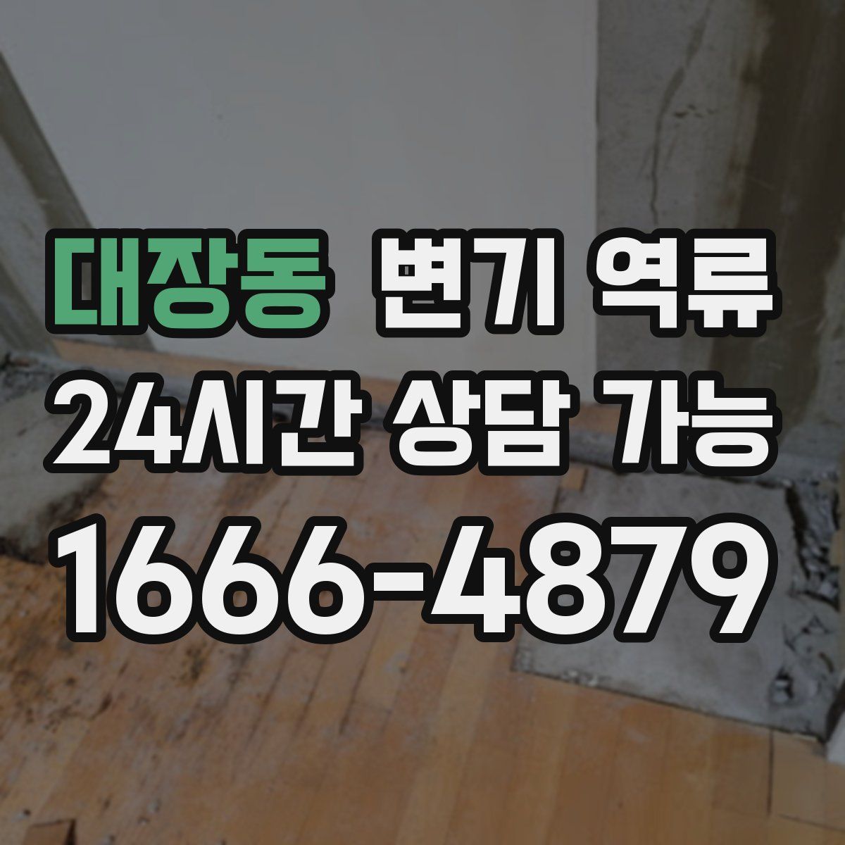 대장동 변기 역류