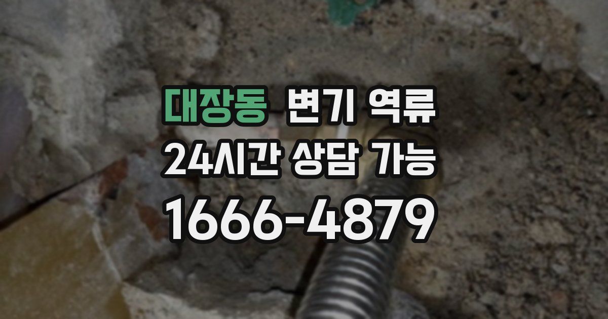 대장동 변기 역류