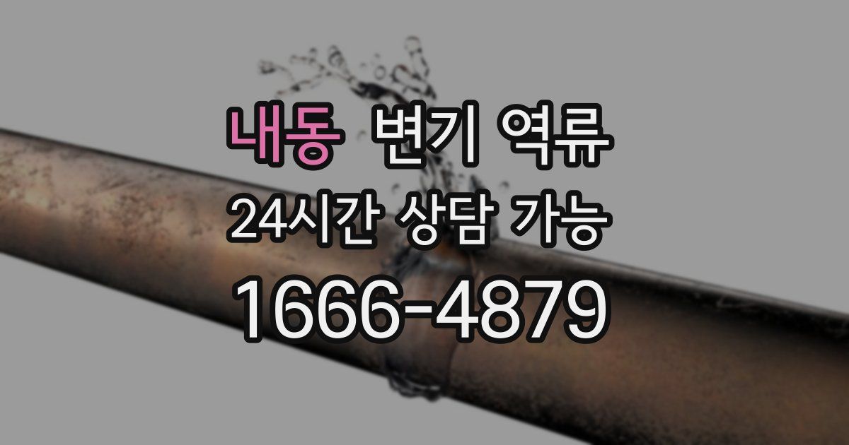 내동 변기 역류