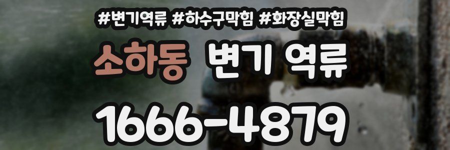소하동 변기 역류