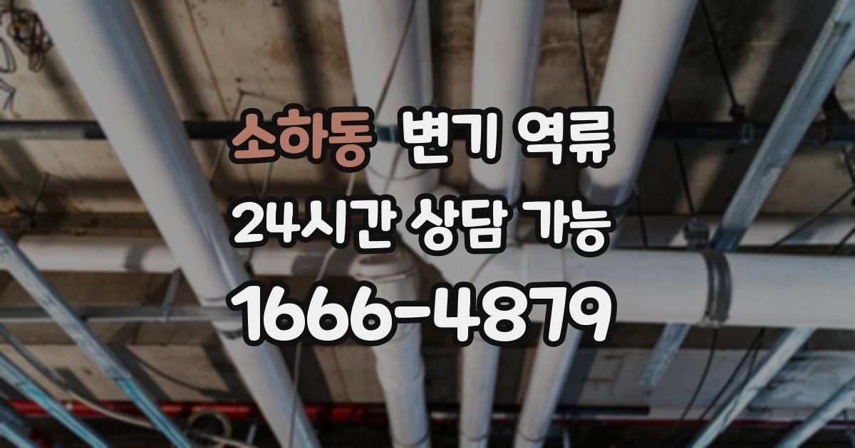 소하동 변기 역류