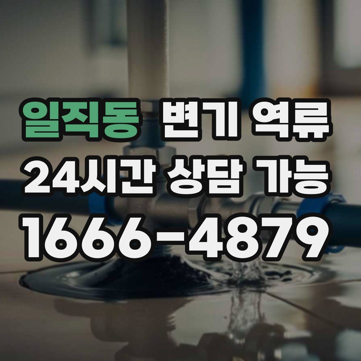 일직동 변기 역류 자가 시도 전 반드시 알아야 할 주의사항