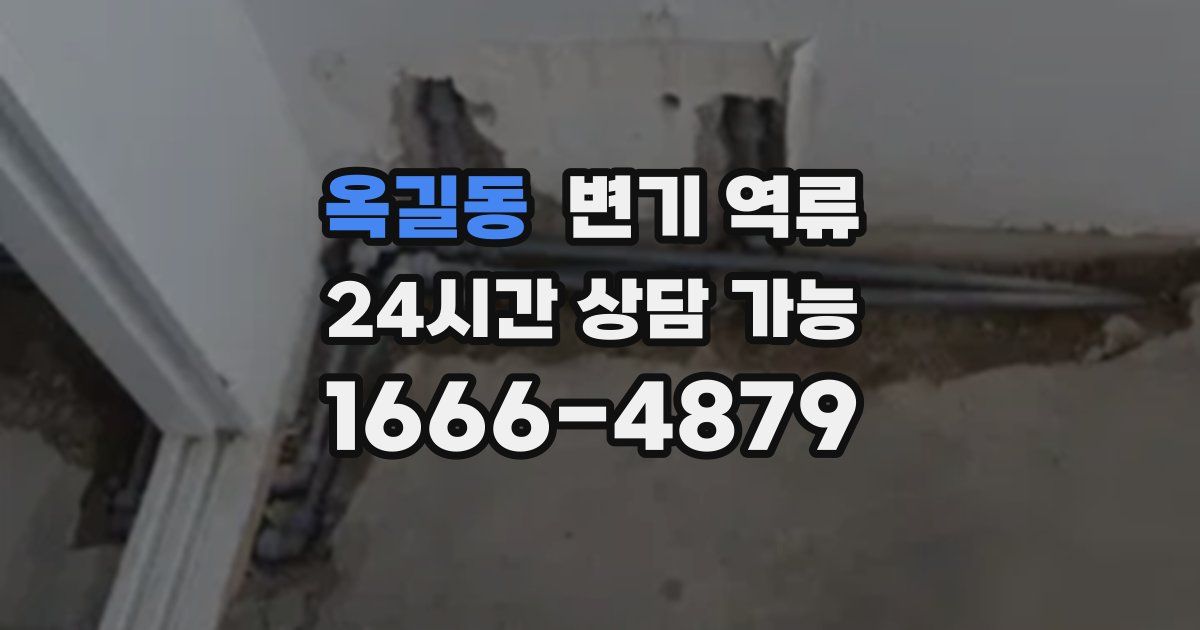 옥길동 변기 역류