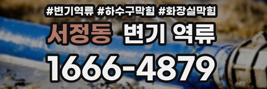 서정동 변기 역류