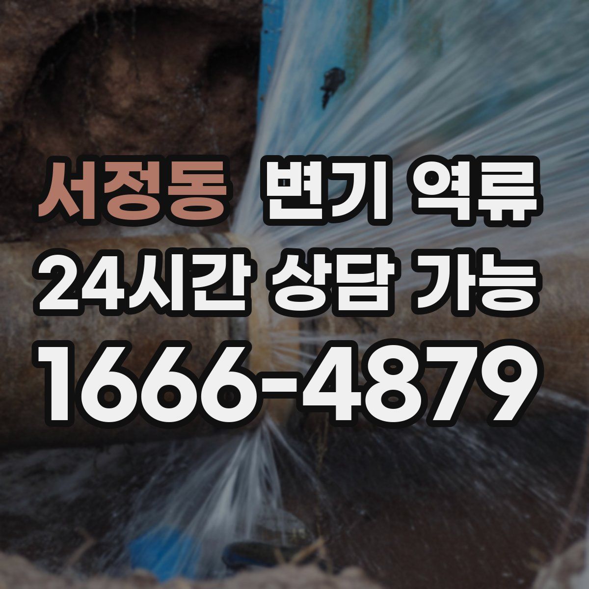 서정동 변기 역류