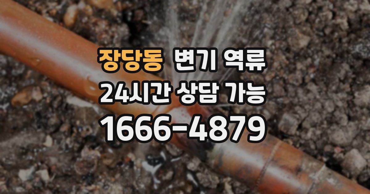 장당동 변기 역류