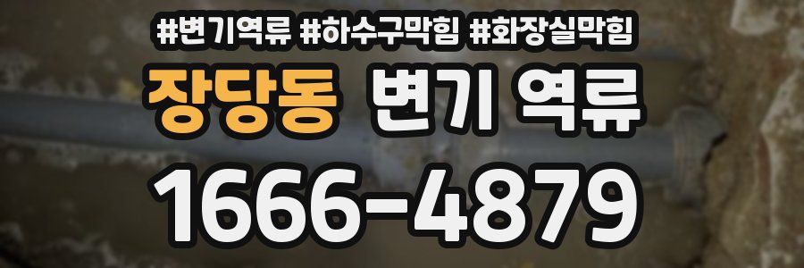 장당동 변기 역류