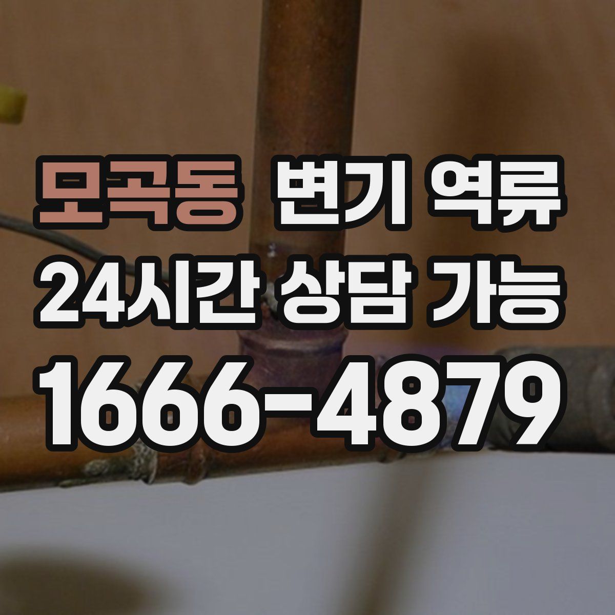 모곡동 변기 역류