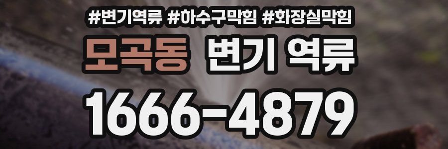 모곡동 변기 역류