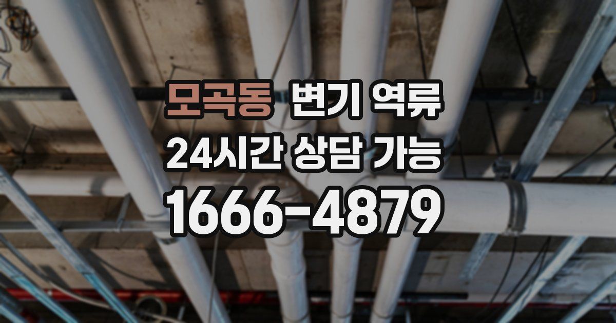 모곡동 변기 역류