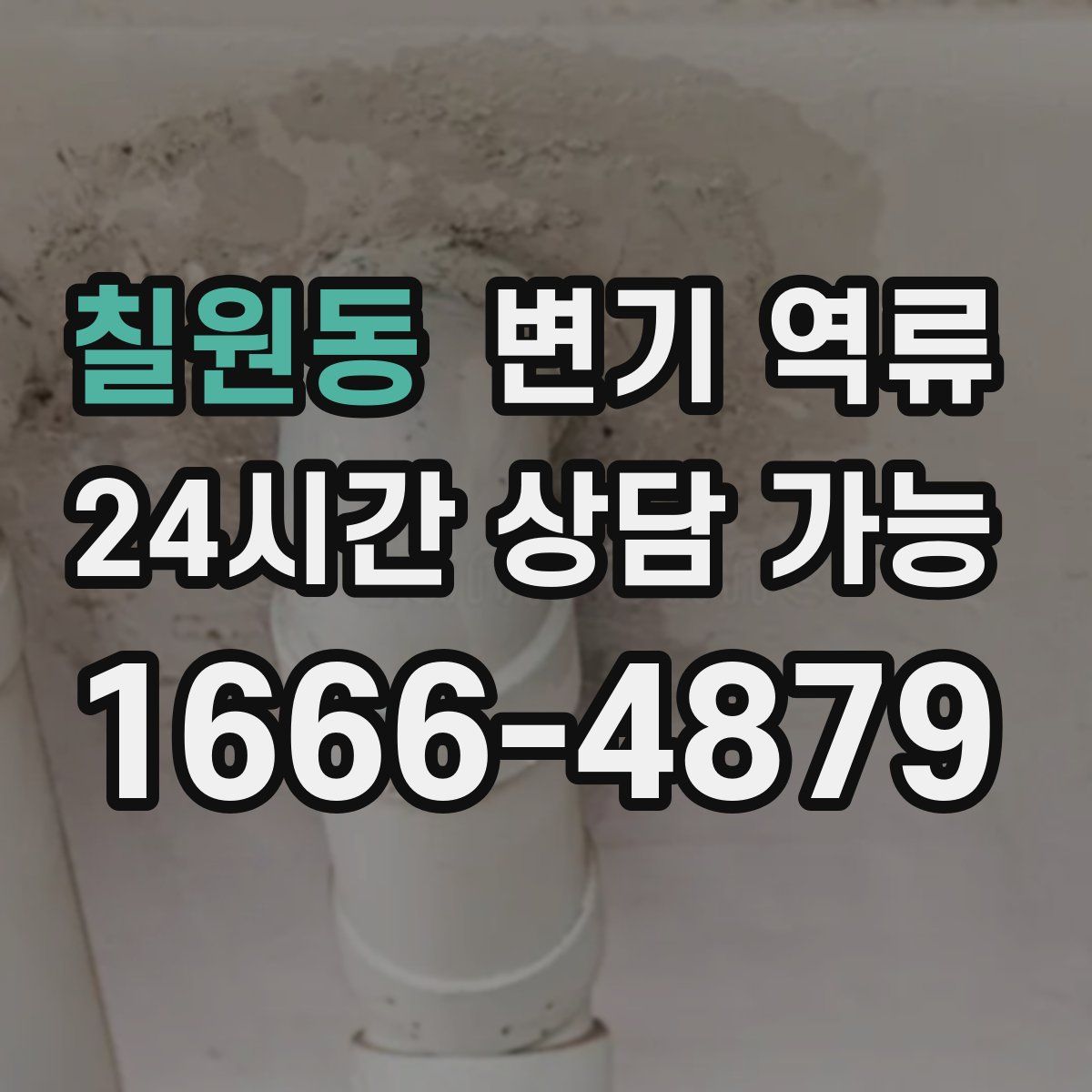 칠원동 변기 역류