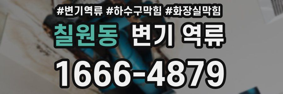 칠원동 변기 역류