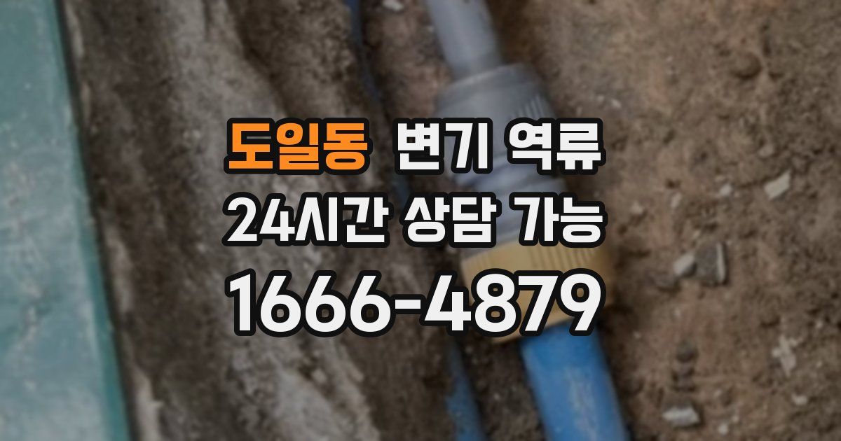 도일동 변기 역류