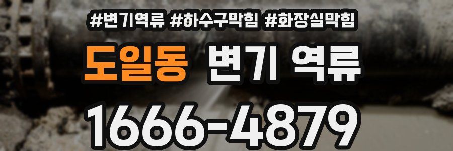 도일동 변기 역류
