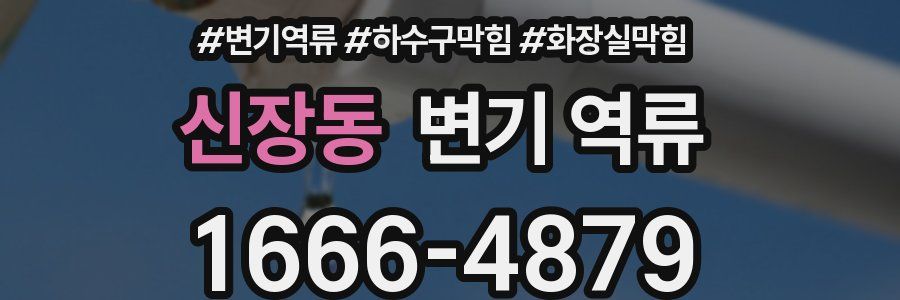 신장동 변기 역류