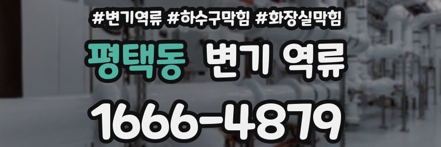 평택동 변기 역류