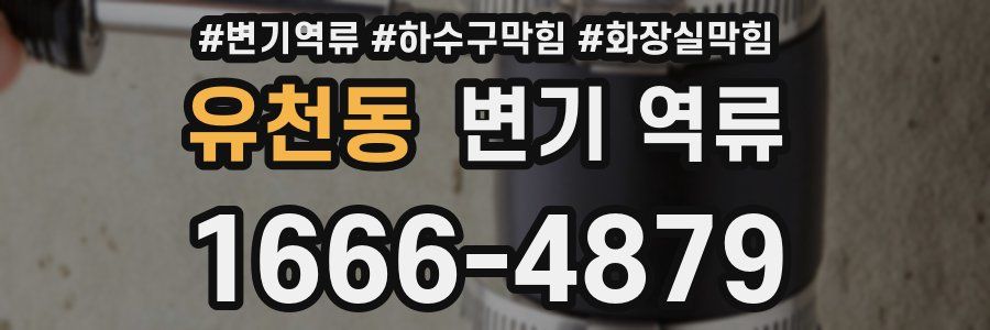 유천동 변기 역류