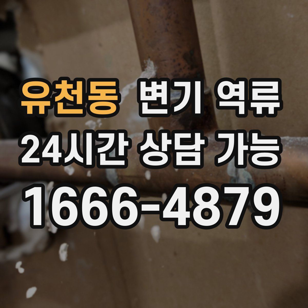 유천동 변기 역류