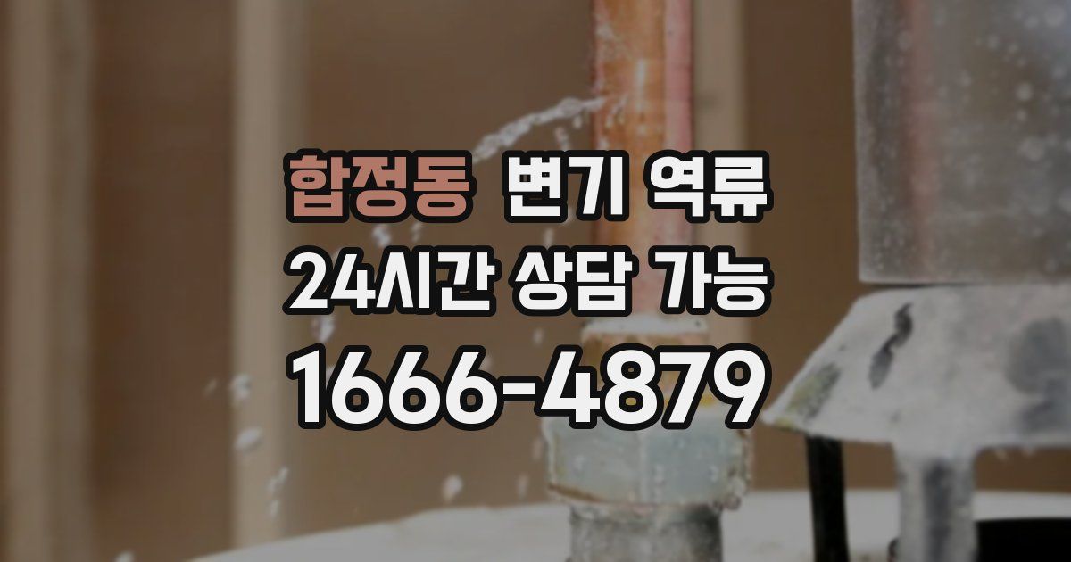 합정동 변기 역류