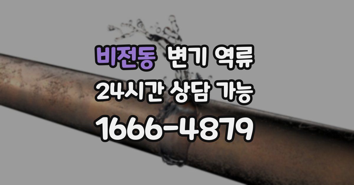 비전동 변기 역류