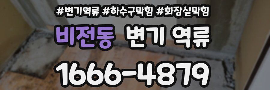 비전동 변기 역류